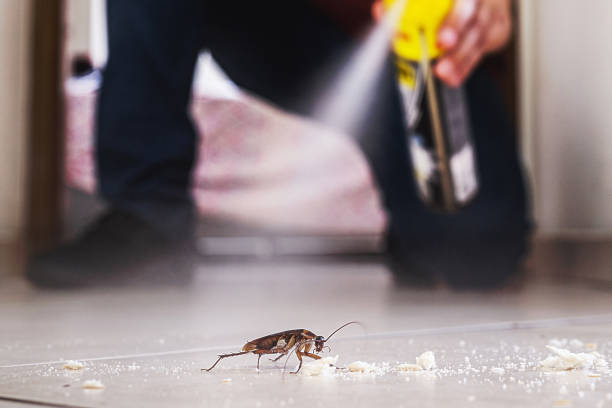 Best Commercial Pest Control Services  in Carbondale, CO