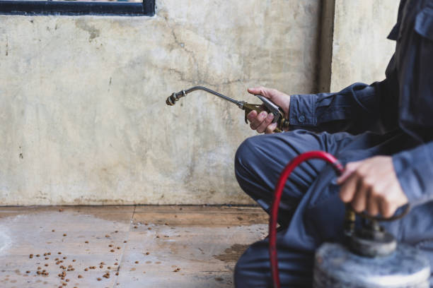 Pest Prevention Services in Carbondale, CO